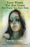 Cover: Look Where You Are Going Not Where You Have Been - Luna Press Publishing
