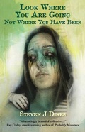 Cover: Look Where You Are Going Not Where You Have Been - Luna Press Publishing