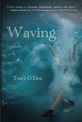 Cover: Waving - Assure Press