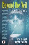 Cover: Beyond the Veil - Flame Tree Press