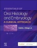 Bild: Essentials of Oral Histology and Embryology - Elsevier