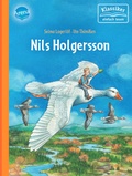 Cover: Nils Holgersson - Arena