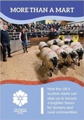 Cover: More than a Mart - The Prince's Countryside Fund