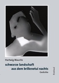 Cover: schwarze landschaft aus dem brillenetui nachts - Rimbaud Verlag