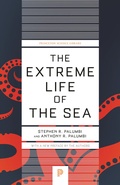 Bild: The Extreme Life of the Sea - Princeton University Press