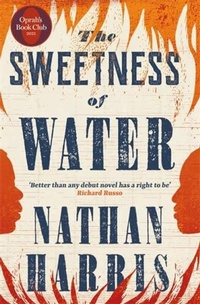 Abbildung von: The Sweetness of Water - Tinder Press