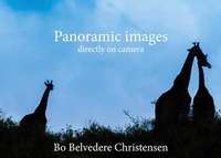Abbildung von: Panoramic images - Books on Demand