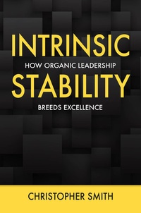 Abbildung von: Intrinsic Stability - BOOKBABY