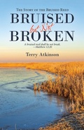 Cover: Bruised but Not Broken - WestBow Press
