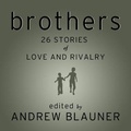 Cover: Brothers - Tantor Audio