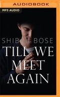 Cover: Till We Meet Again - Audible Studios on Brilliance
