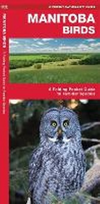 Abbildung von: Manitoba Birds - Waterford Press Ltd