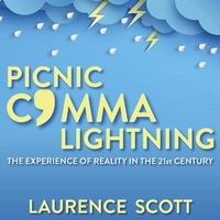 Enlarge image Cover: Picnic Comma Lightning - HighBridge Audio