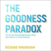Enlarge image Cover: The Goodness Paradox - HighBridge Audio