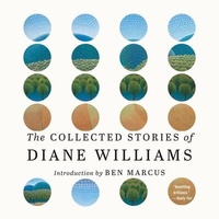 Enlarge image Cover: The Collected Stories of Diane Williams - HighBridge Audio