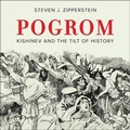 Cover: Pogrom - HighBridge Audio
