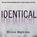 Cover: Identical - HighBridge Audio