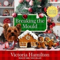 Cover: Breaking the Mould Lib/E - Tantor Audio