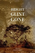 Cover: Bright Glint Gone - Maine Writers & Publishers Alliance