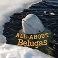 Cover: All about Belugas - Inhabit Education Books Inc.