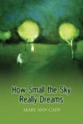 Cover: How Small the Sky Really Dreams - DOS Madres Press
