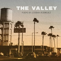 Enlarge image Cover: The Valley - Sundress Publications
