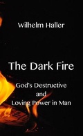 Cover: The Dark Fire - Texianer Verlag