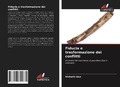 Cover: Fiducia e trasformazione dei conflitti - Edizioni Sapienza