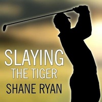 Abbildung von: Slaying the Tiger - Tantor Audio