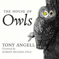 Enlarge image Cover: The House of Owls - Tantor Audio
