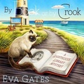 Cover: By Book or by Crook - Tantor Audio