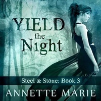 Enlarge image Cover: Yield the Night - Tantor Audio