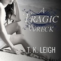 Cover: A Tragic Wreck - Tantor Audio