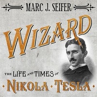 Enlarge image Cover: Wizard - Tantor Audio