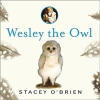 Enlarge image Cover: Wesley the Owl Lib/E - Tantor Audio