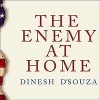 Abbildung von: The Enemy at Home Lib/E - Tantor Audio