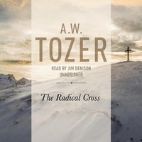 Enlarge image Cover: Radical Cross - Christianaudio