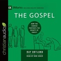 Cover: Gospel - Christianaudio