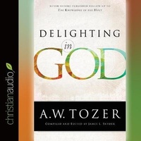 Enlarge image Cover: *Delighting in God - Christianaudio