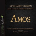 Abbildung von: Holy Bible in Audio - King James Version: Amos - Christianaudio