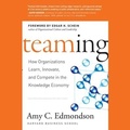 Cover: Teaming - Gildan Media Corporation