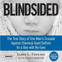 Enlarge image Cover: Blindsided - Gildan Media Corporation
