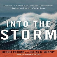 Enlarge image Cover: Into the Storm - Ascent Audio
