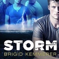 Cover: Storm - Tantor Audio