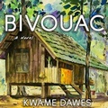 Cover: Bivouac - HighBridge Audio