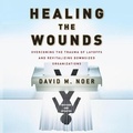 Cover: Healing the Wounds - Gildan Media Corporation