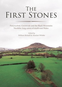 Enlarge image Cover: The First Stones - Oxbow Books