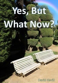 Abbildung von: Yes, But What Now? - David Kevill Author