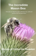 Cover: Incredible Mason Bee - Steven Scanlan