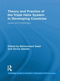 Cover: Theory and Practice of the Triple Helix Model in Developing Countries - Routledge